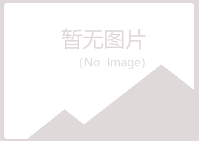 阆中紫山能源有限公司